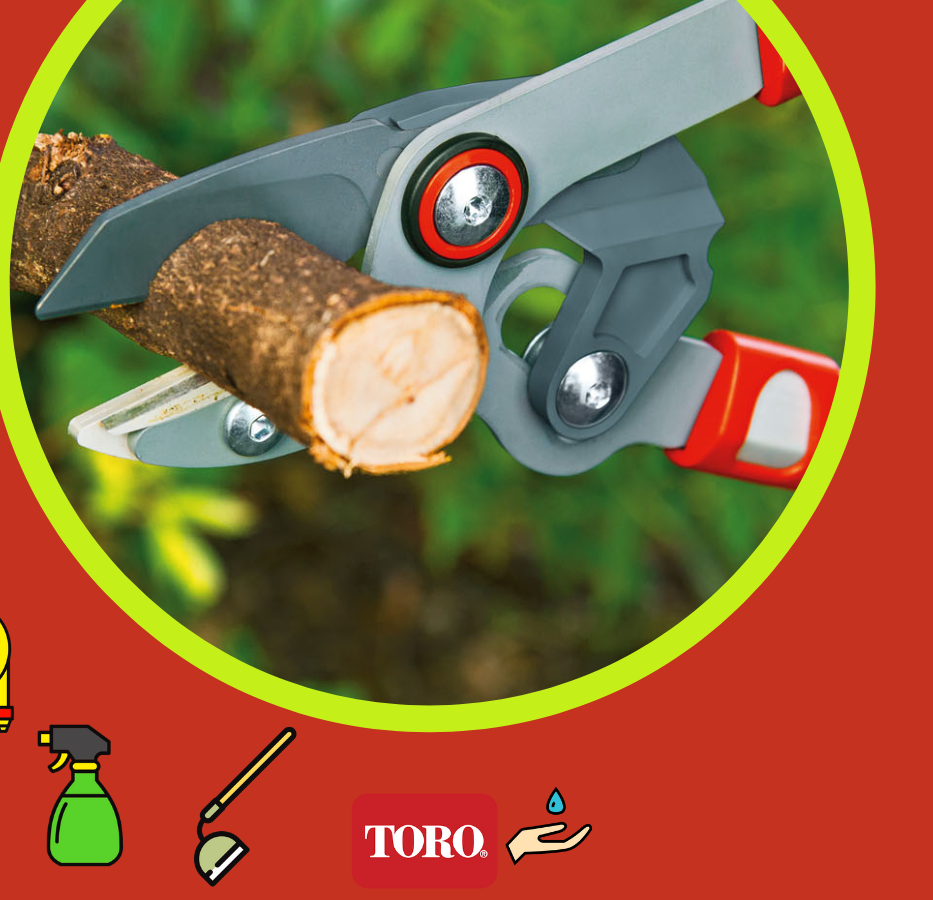 Jar sa blíži - Režeme a striháme - 3. časť